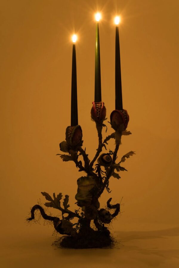 Enchanted Plant Candelabra - Image 6